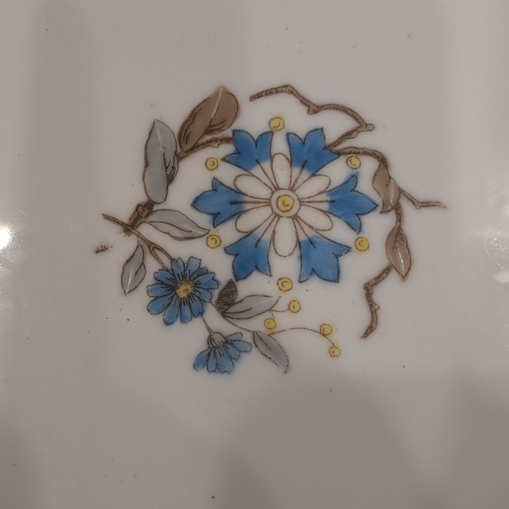 Marx & Gutherz Carlsbad Austria Antique Porcelain Floral Scalloped Serving Tray - Picture 2 of 7